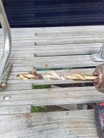 IMG_20250512_171821639.jpg