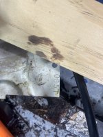 IMG_4052.jpeg