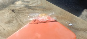 IMG_20250518_100910.jpg