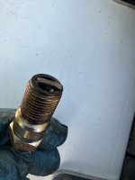 IMG_3900.jpeg