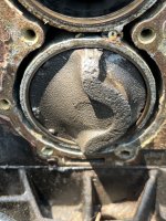 IMG_9964.jpeg