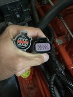 IMG_4002.jpeg