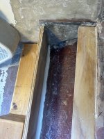 IMG_7713.jpeg