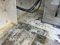IMG_7895.jpeg