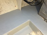 IMG_7908.jpeg