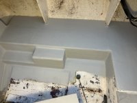 IMG_7907.jpeg
