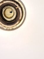 20250603_170531.jpg