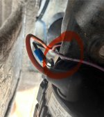 IMG_1136.jpeg