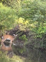 IMG_6951.jpeg