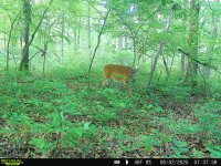 IMG_6956.jpeg