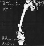 metal & bones_0001.jpg