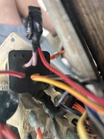IMG_1990.jpeg