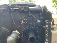 IMG_9954.jpeg