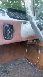 IMG_9137.jpeg