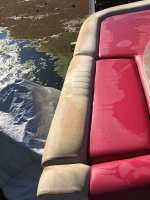 IMG_4237.jpeg
