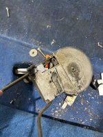 IMG_8857.jpeg