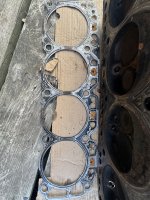 IMG_3185.jpeg