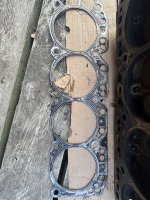 IMG_3186.jpeg
