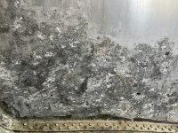 IMG_1349.jpeg