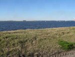 The River.jpg