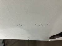 IMG_1416.jpeg