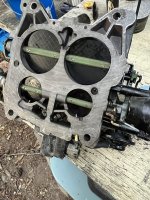 IMG_8804.jpeg