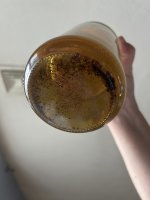 IMG_3248.jpeg