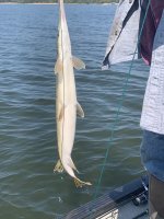IMG_4965.jpeg