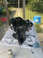 IMG_3386.jpeg