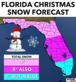 fl snow.jpg