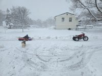 20260223_114041 (1).jpg