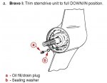 Bravo 1 drain plug.jpg