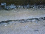 IMG00036-20100406-1906.jpg