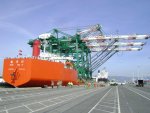 cranes1.jpg