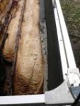 boat 3.jpg