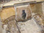 th_boat005.jpg