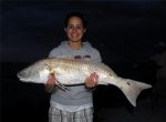 redfish2.jpg