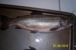 100_2946.jpg