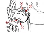 screw hole.jpg