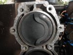 Feb 7- May 15 2010 095.JPG