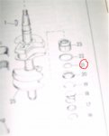 June 3 2010 007 IB.jpg