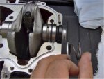 June 3 2010 005 IB.jpg
