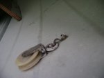 DSC03026.jpg