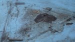 DSC04948-forum.jpg