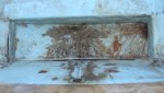 DSC04955-forum.jpg