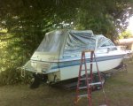 camera pics 012.jpg
