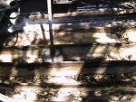 IMG_0121.jpg