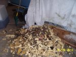 100_3746.jpg