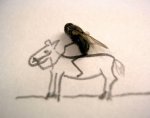 horse (2).jpg