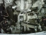 1983 Johnson 2.jpg
